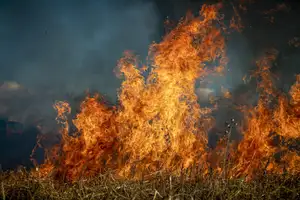 Out of control wildfire